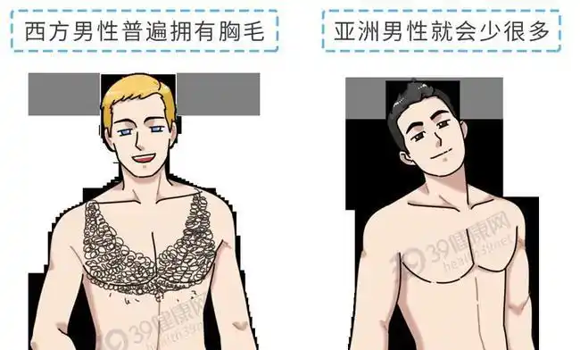 男人胸毛越旺盛代表生理能力越强一组图解释清答案让人意外