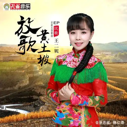 王二妮我唱信天游