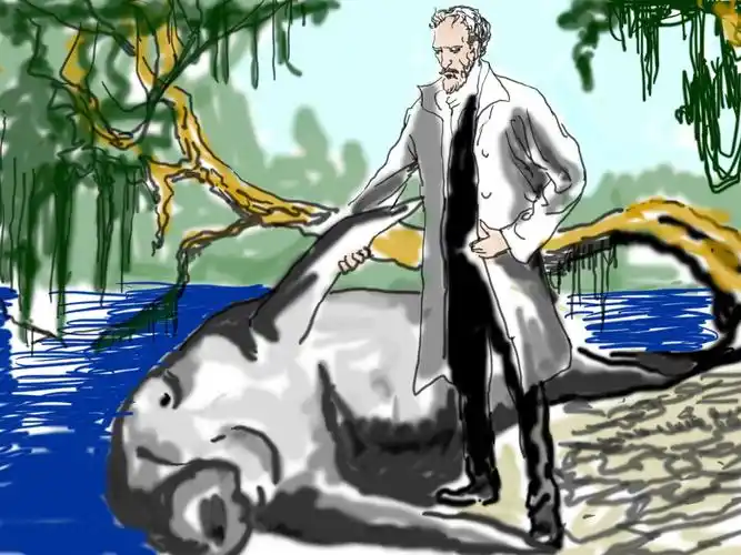 神秘岛(第二册)神秘人时隐时现