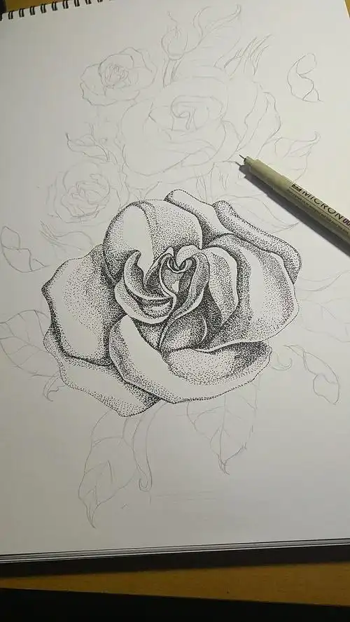 点绘玫瑰