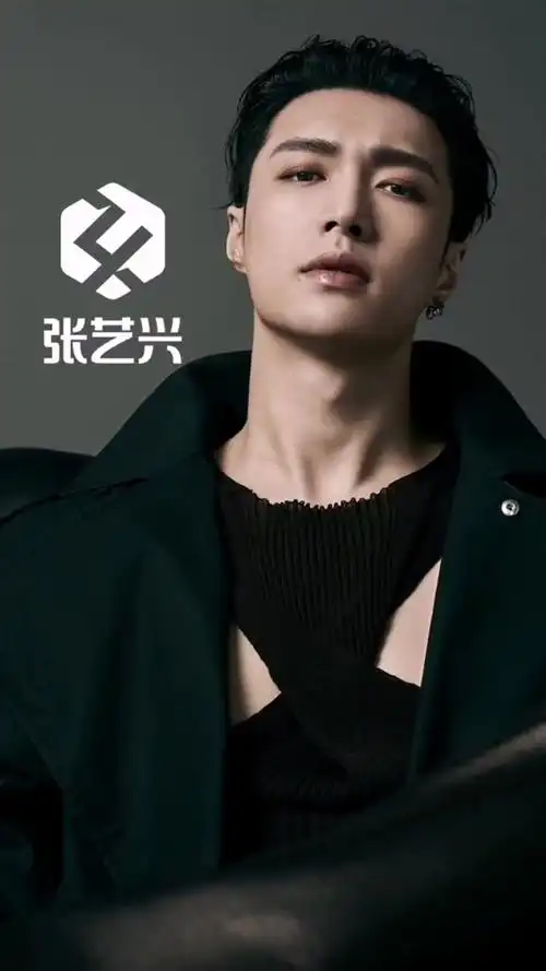 给张艺兴做一个专属logo极限挑战张艺兴王迅贾乃亮logo设计抖音短视频