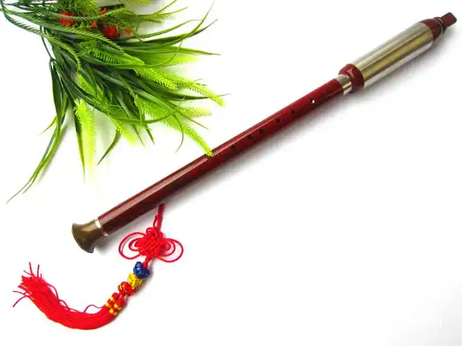 首页 乐器 吹奏乐器 巴乌 >仿红木巴乌 可拆装g调/f调洞巴 吹奏民族