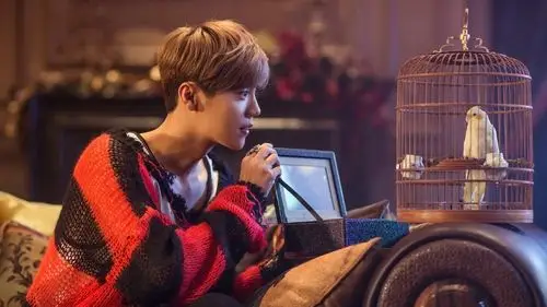 小鲜肉鹿晗帅气写真,高清图片,电脑桌面-壁纸族