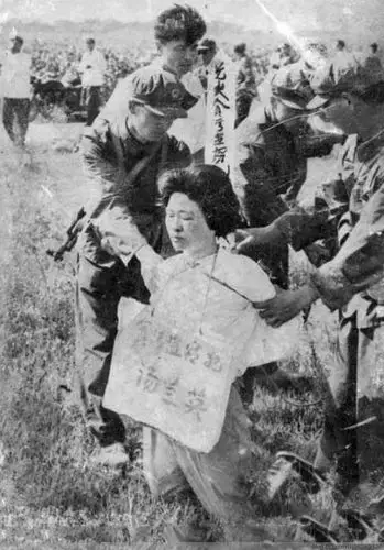 【转载】1977年,女巨贪汤兰英被枪毙全程