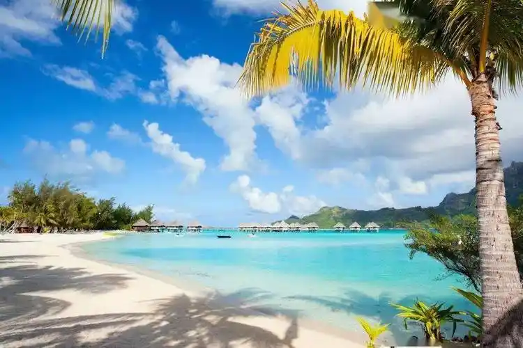 等一个人陪我走遍全世界最美的100座海岛