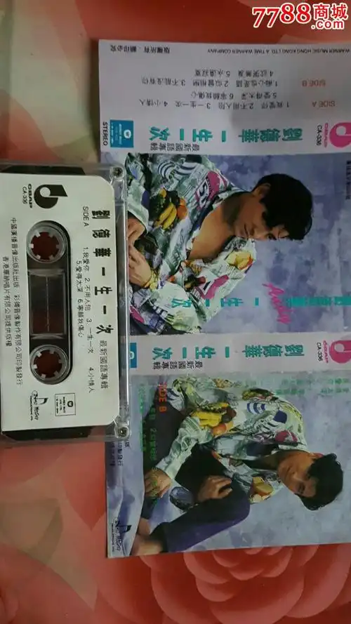 刘德华~一生一次