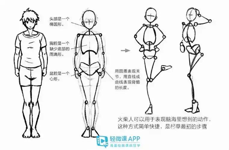 原创动漫人体怎么绘制绘画人体基础入门技巧