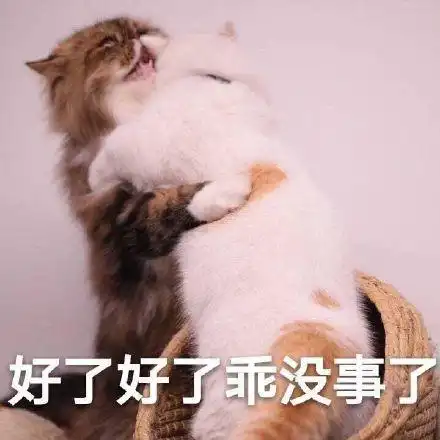 萌宠喵星人好了乖没事了安慰拥抱gif动图_动态图_表情包下载_soogif