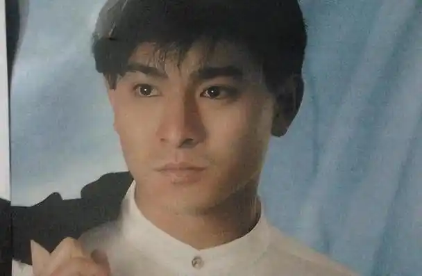 刘德华似乎是为了娱乐圈而诞生的,既是歌手又是演员.