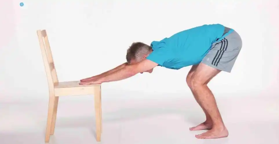 筋膜训练基础训练背部拉伸练习