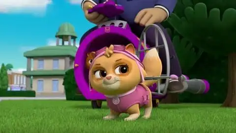 汪汪队:海丁纳好事不做,坏事做尽,他又指挥小猫咪偷东西