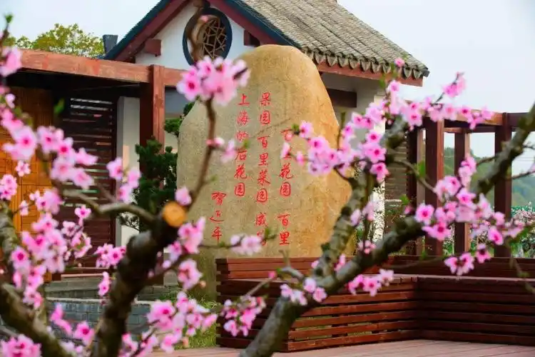 【最美游记】孙力《梦里的"瑶池蟠桃园"》