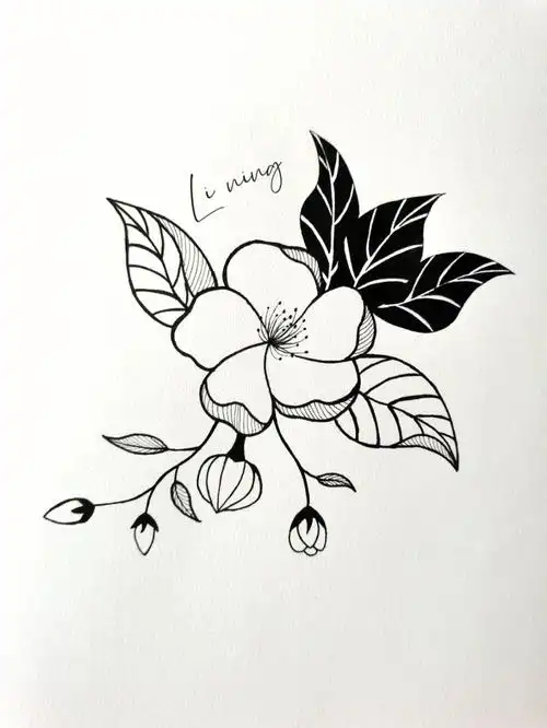 针管笔黑白简笔画