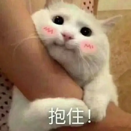 你不过只是条咸鱼 - 斗图表情包 - 斗图神器 - adoutu.com