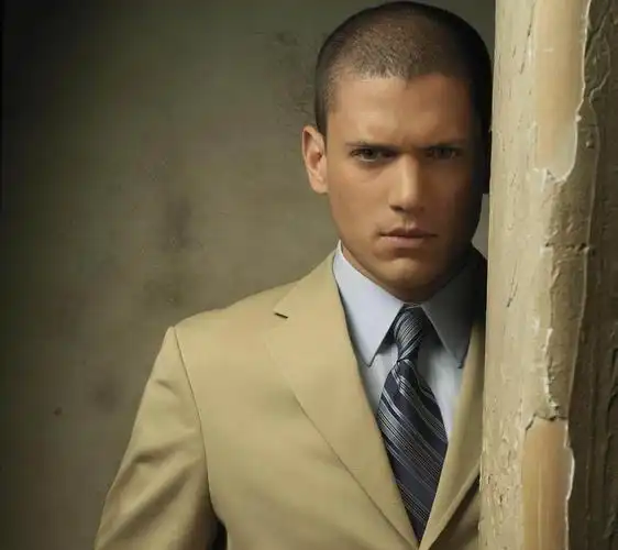 你们get得到越狱男主的长相吗