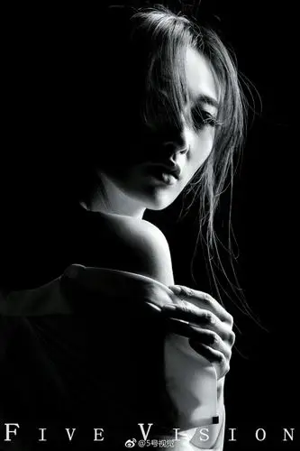 fivevision美女写真黑白片