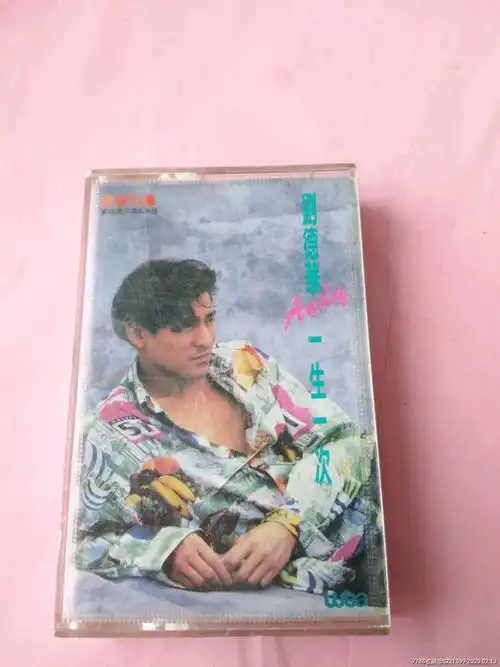 刘德华一生一次