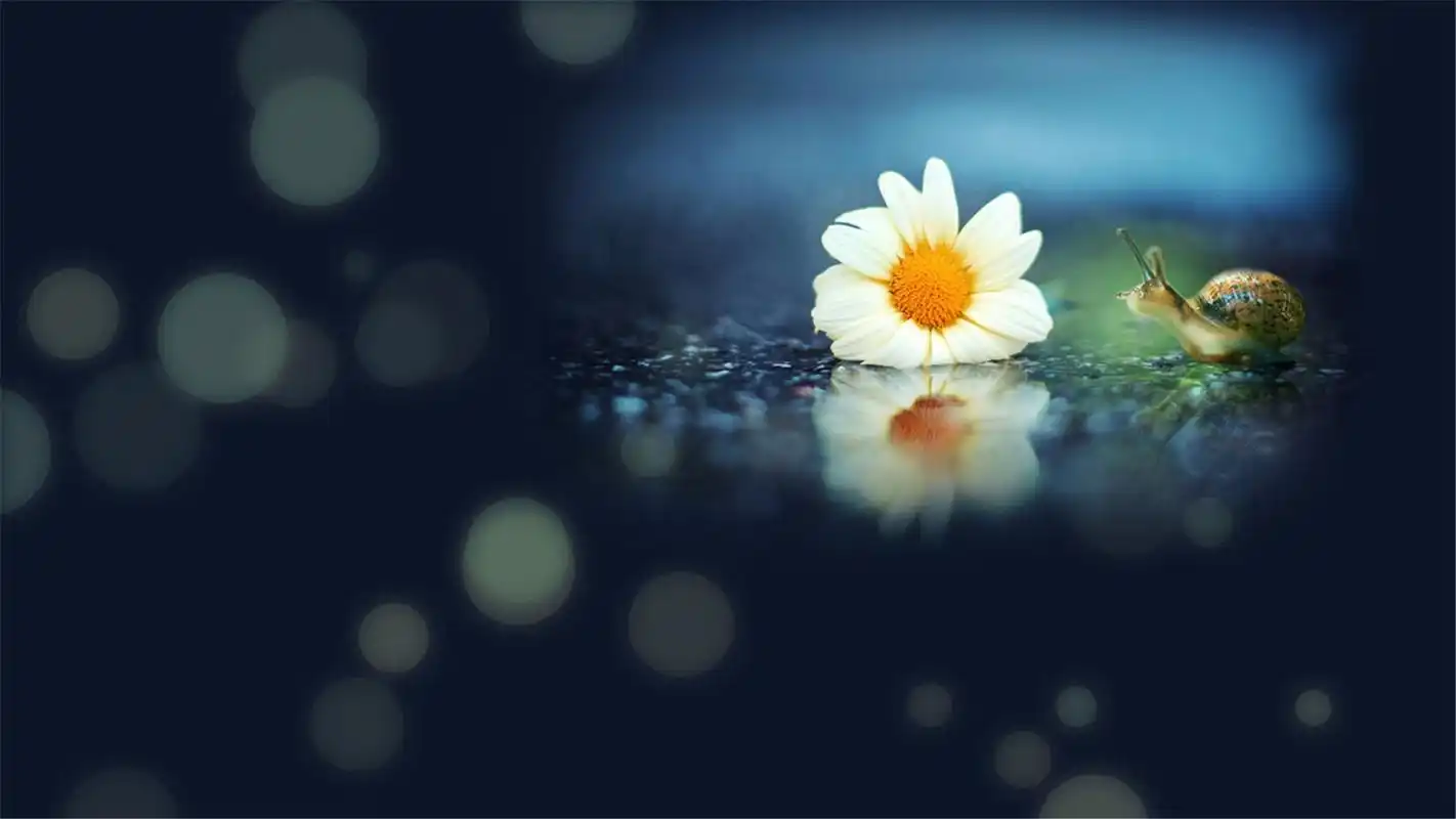 > 精选好看的小清新唯美意境lomo风格图片桌面壁纸高清(1)(1920x1080)