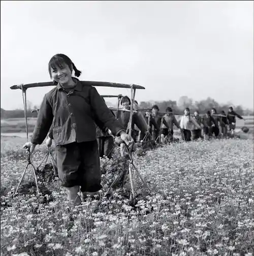 28张新中国知青老照片,广阔的农村天地,大有作为!