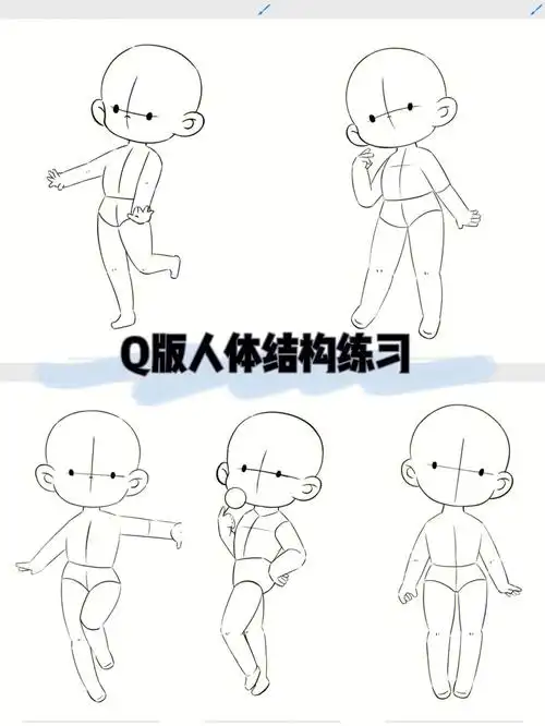 q版人体结构练习