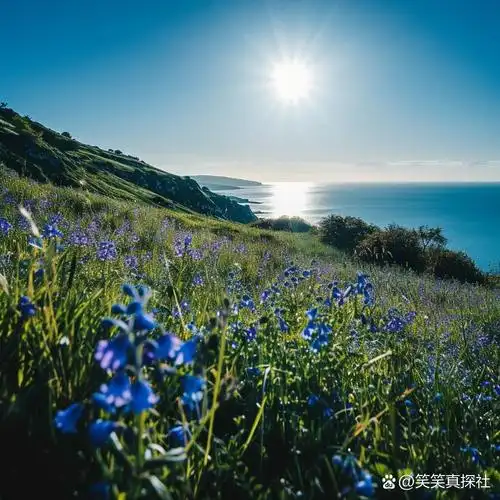 好运头像  | 超清海边风景 水 丙火太阳