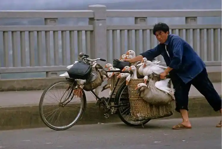 80年代中国最真实的101张老照片怀旧到有点想哭