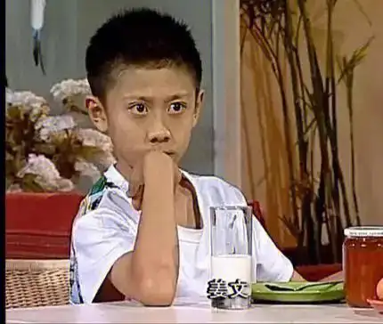 那些年看过的刘星