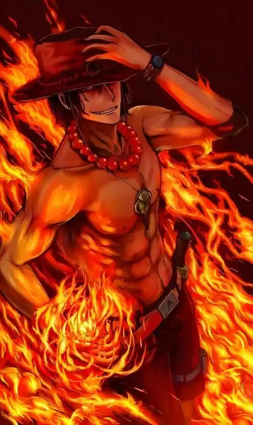 壁纸分享,海贼王系列手机壁纸,你最喜欢里面的谁