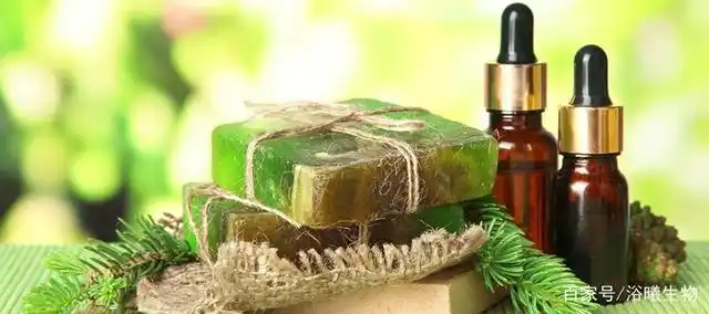 植物萃取精华:尤加利精油