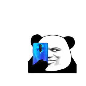 熊猫头手机拍照 gif 动态表情包_动态_熊猫_拍照_gif表情
