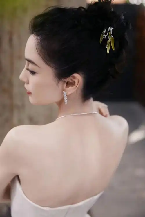 杨颖华表奖侧拍