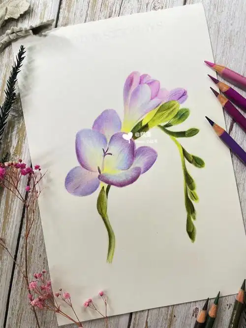 唯美彩铅花卉训练营香雪兰