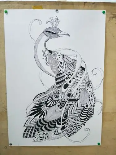孔雀黑白线描画