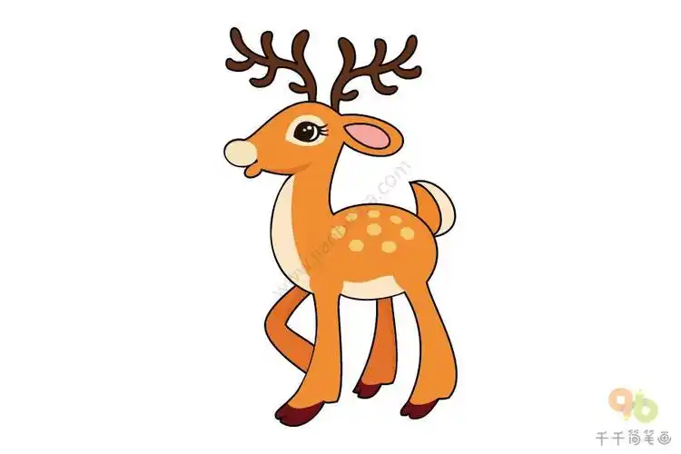 马鹿宝宝简笔画 简笔画图片大全-蒲城教育文学网