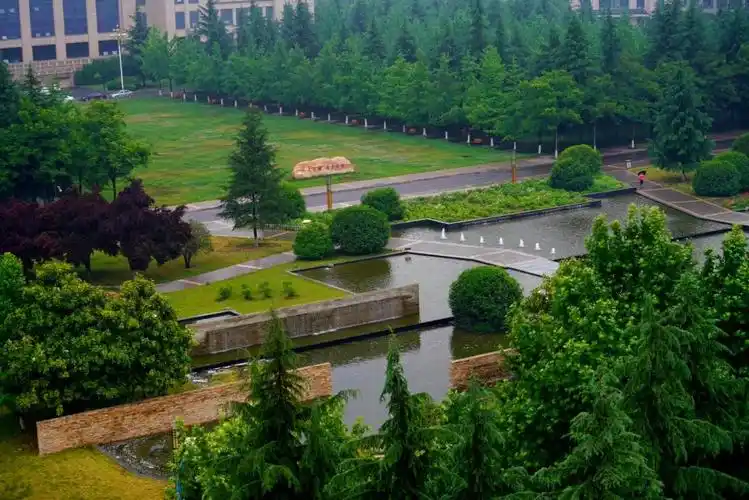 亲爱的师大,我们回来了!