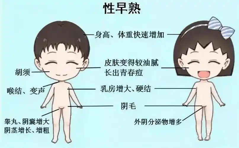 睾丸,阴茎和阴囊发育,长出阴毛,腋毛,胡须,身高增长速度突增,或者11岁