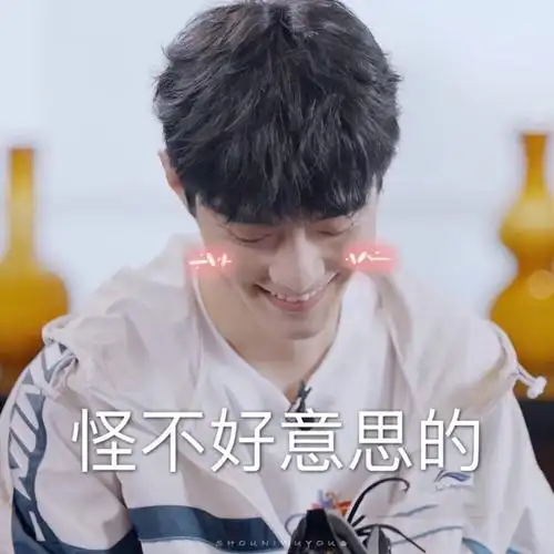 肖战表情包 - 堆糖,美图壁纸兴趣社区