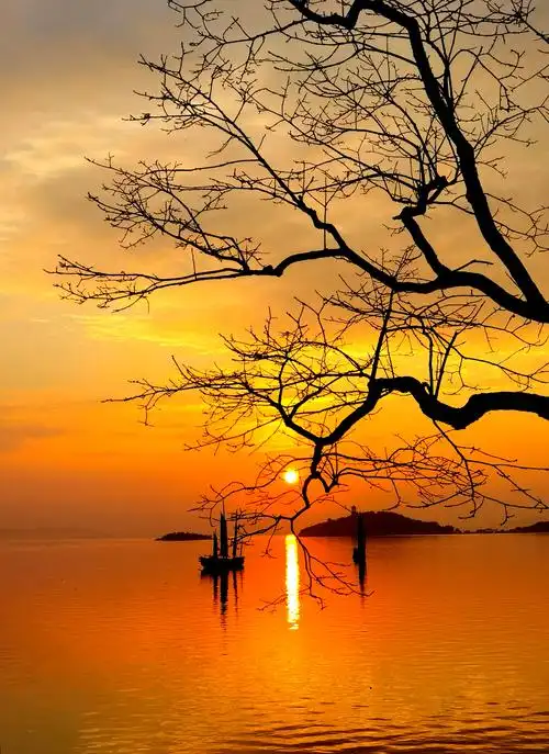 2020年度摄影作品展示(风光类)