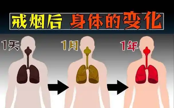 原创戒烟后被熏黑的肺还能白回来吗患癌几率会降低吗告诉你答案