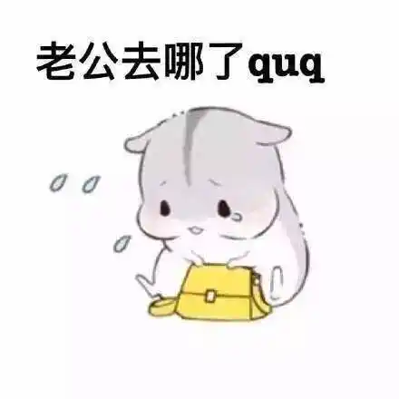 卖萌仓鼠老公表情包