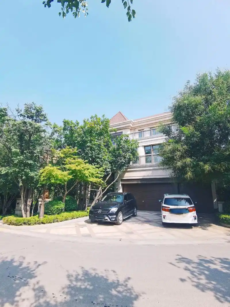 恒大丽宫61世界家族