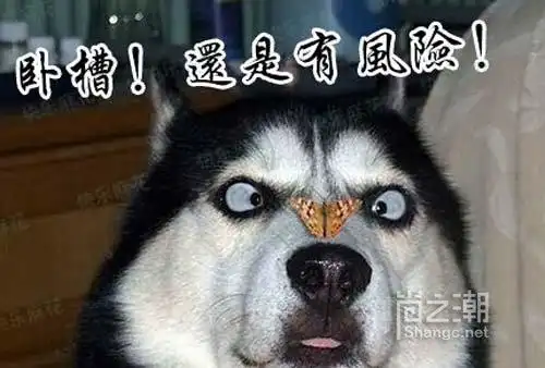 >> 文章内容 >> 笑死人不偿命爆笑幽默笑话 笑死人