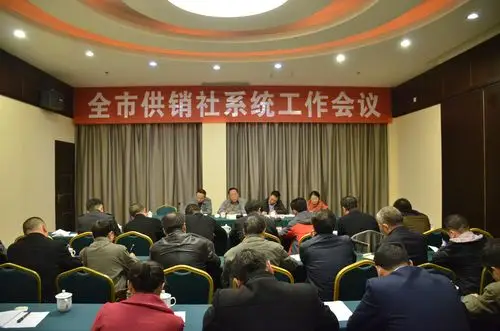 主动作为 务实工作 积极推进供销社综合改革——资阳