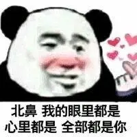 还皮表情包 - 日常表情包