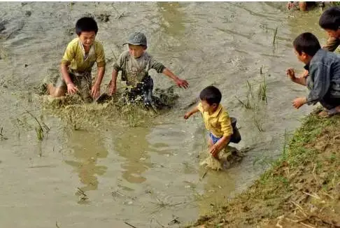 宜宾农村娃儿成长历史满满的都是回忆啊