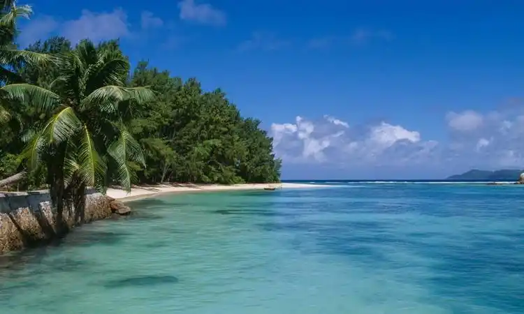 这处海岸边风光美不胜收,这儿的景色让人心旷神怡