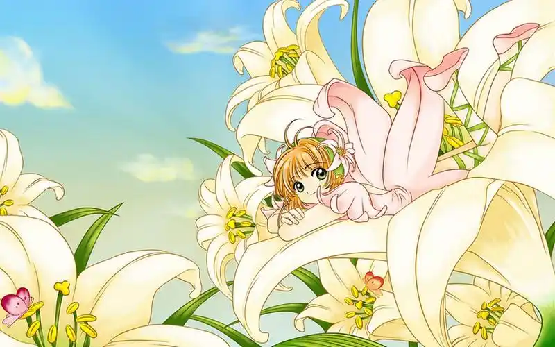 首页 桌面壁纸 精选百变小樱可爱动漫女孩图片电脑壁纸上一张下一张