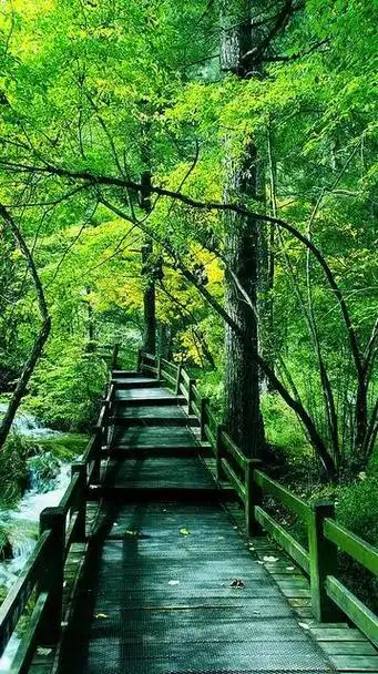 高清手机风景壁纸,好山好水好风景,山山水水展示了美丽的大自然 第