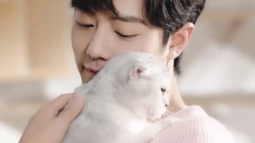 肖战#战战,别撸猫了,撸我吧