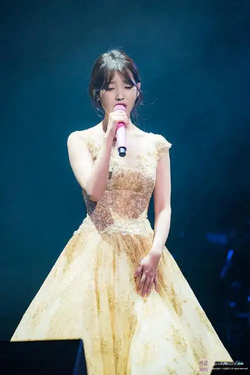 iu李知恩美图#2017年时光机91171210iu超话首尔演唱会高清饭拍cr